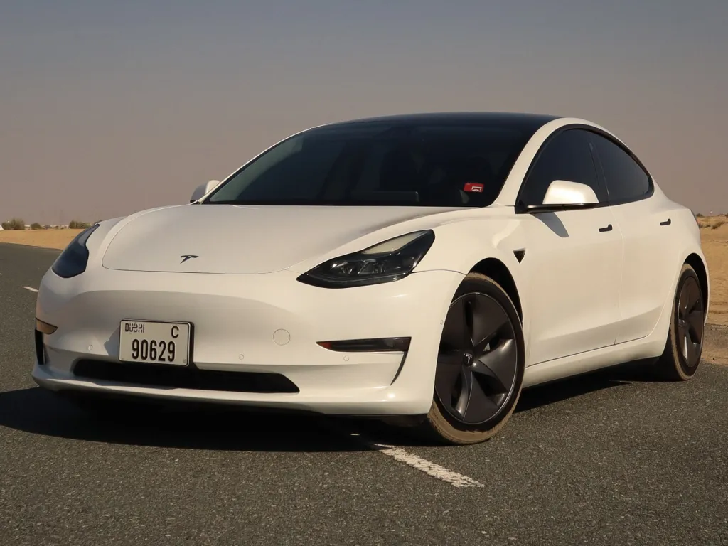 Tesla Model 3 2021 #2