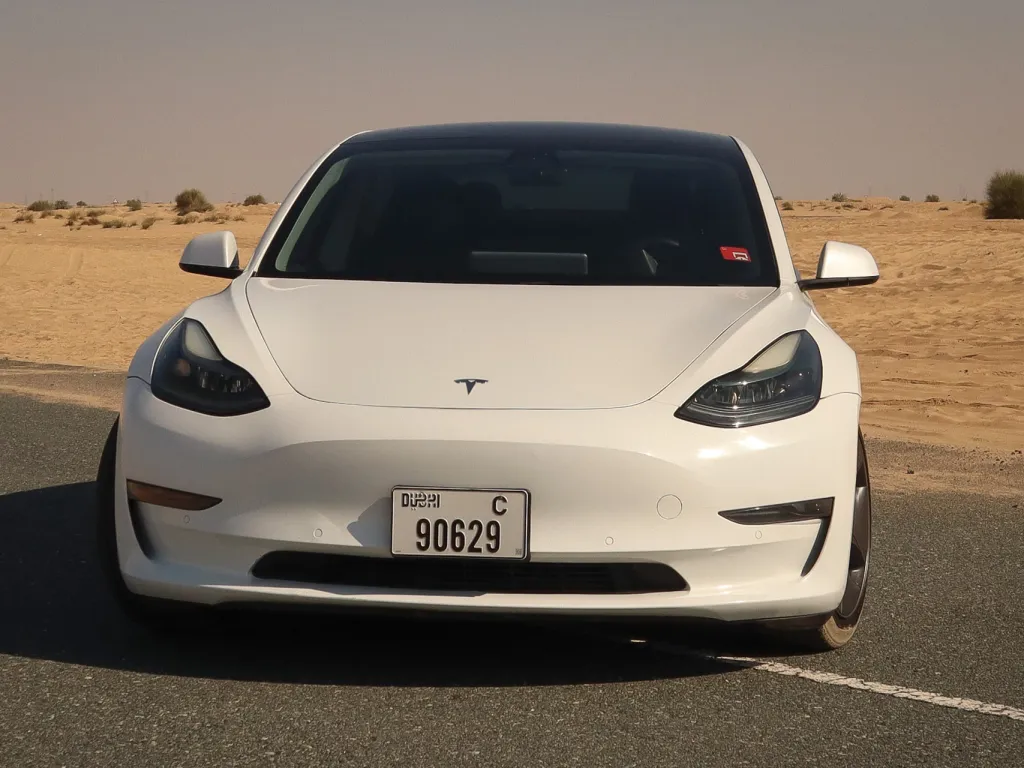 Tesla Model 3 2021 #3