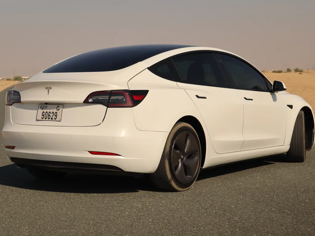 Tesla Model 3 2021 #6