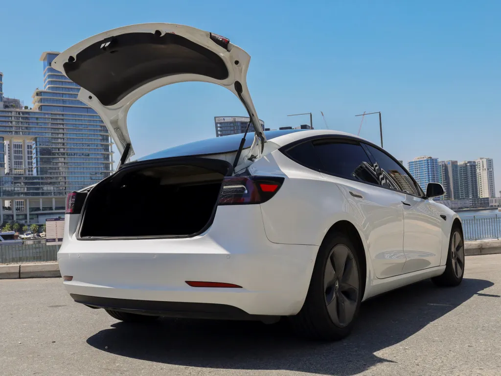 Tesla Model 3 2021 #9