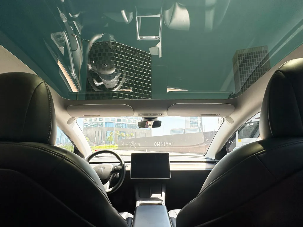 Tesla Model 3 2021 #14