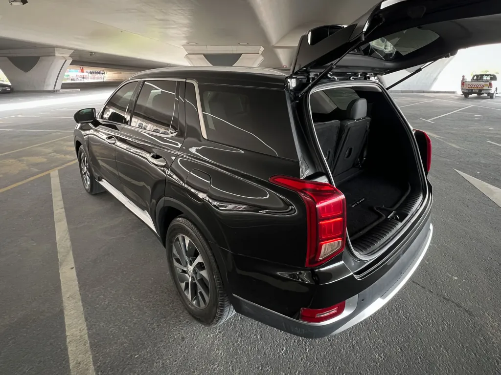 Hyundai Palisade 2021 #20