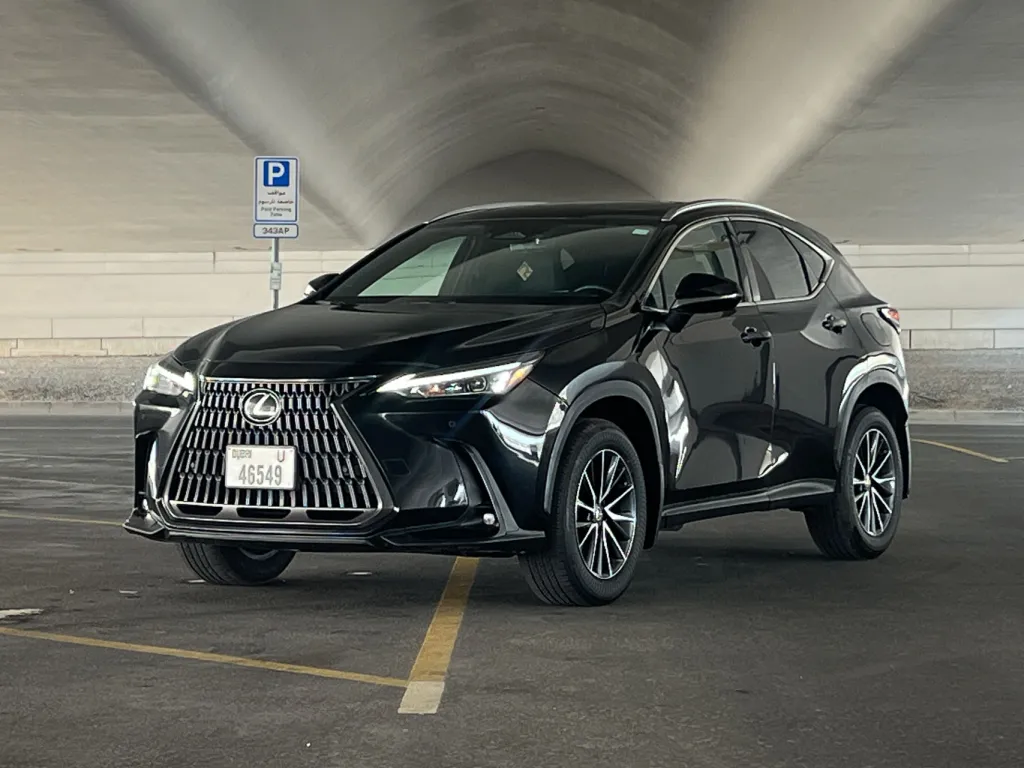 Lexus NX 250 2024 #1