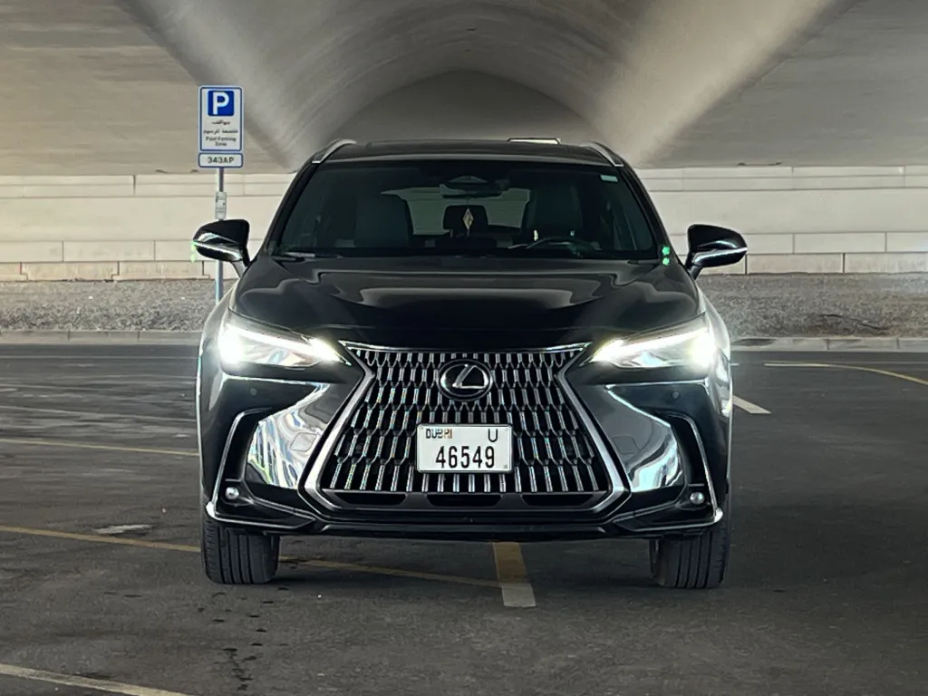 Lexus NX 250 2024 #5