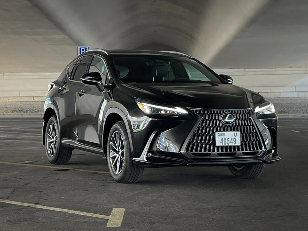 Lexus NX 250 2024 #6