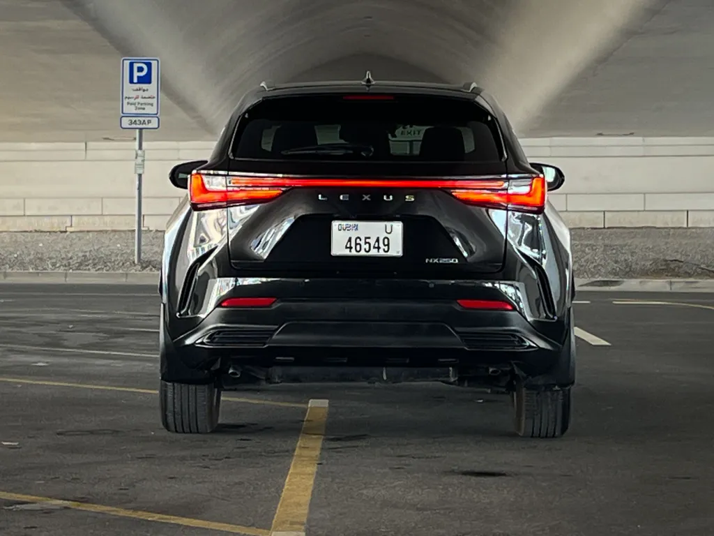 Lexus NX 250 2024 #8
