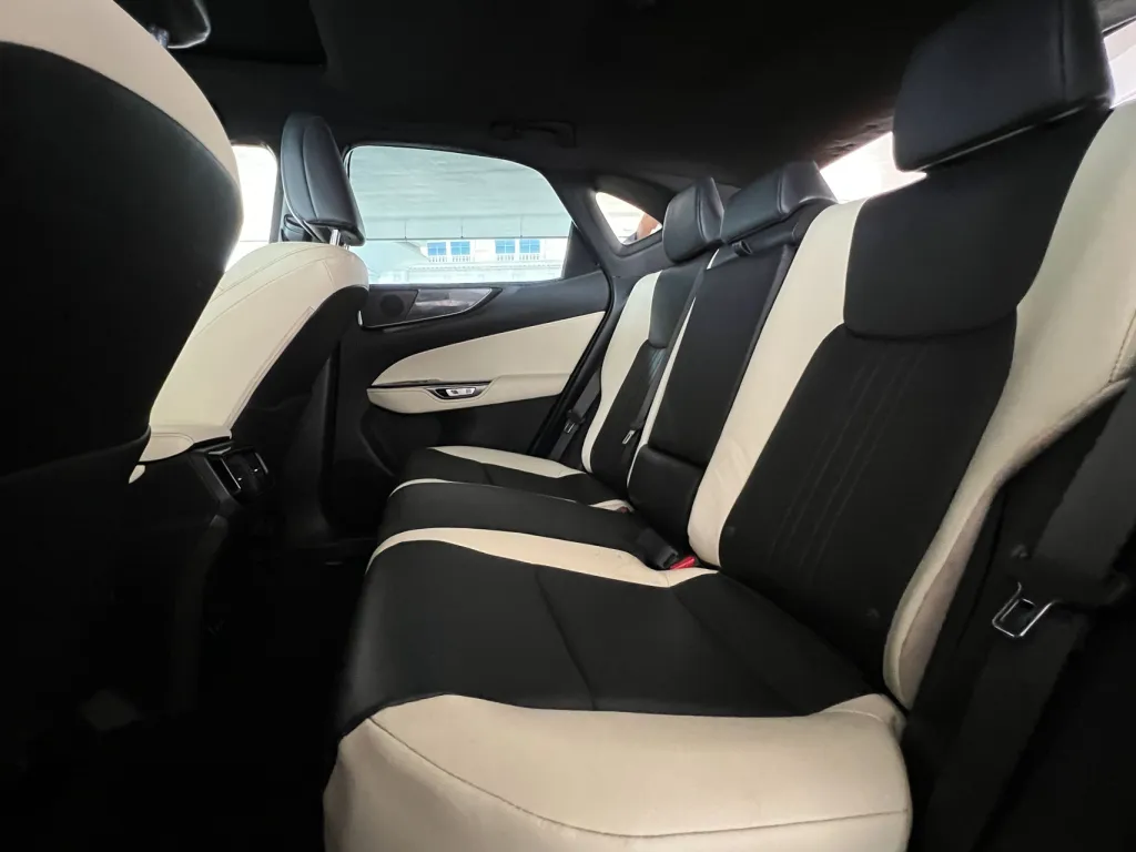 Lexus NX 250 2024 #17