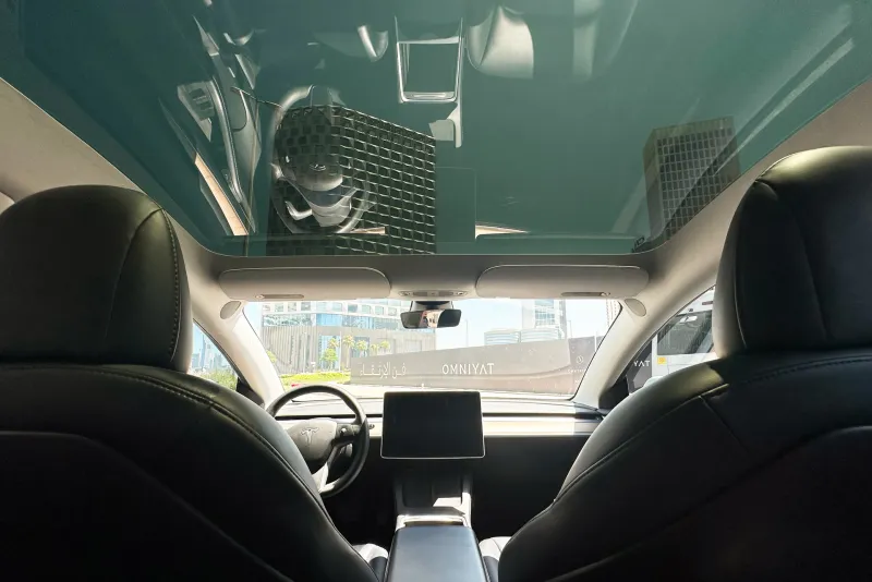 Tesla Model 3 2021 #14