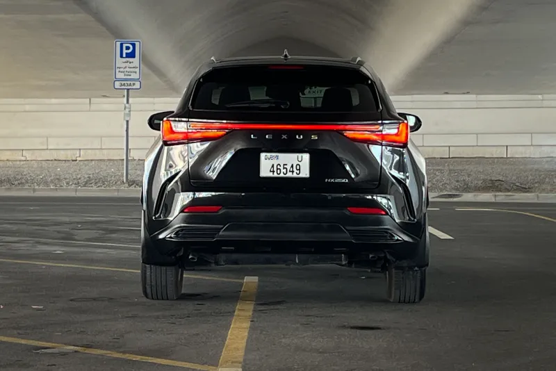 Lexus NX 250 2024 #8