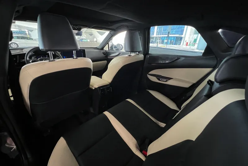 Lexus NX 250 2024 #18