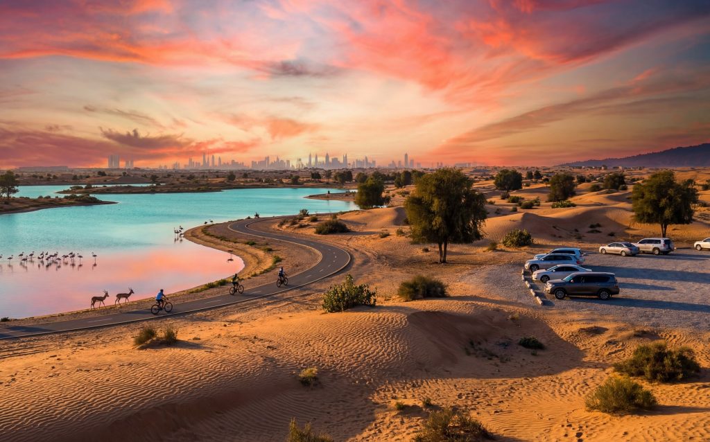 Rentico | Escape the City: The Ultimate Guide to Day Trips from Dubai by Car (Abu Dhabi, Hatta, Ras Al Khaimah) Rentico | Escape the City: The Ultimate Guide to Day Trips from Dubai by Car (Abu Dhabi, Hatta, Ras Al Khaimah)