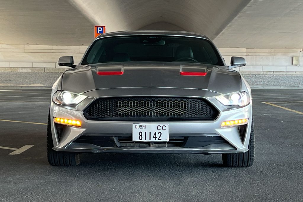 Ford Mustang #1