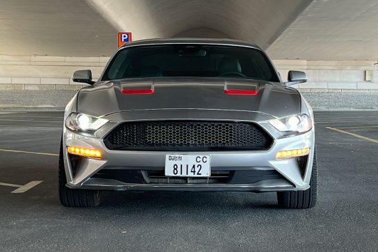 Ford Mustang #1