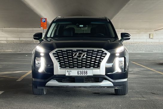 Hyundai Palisade #14