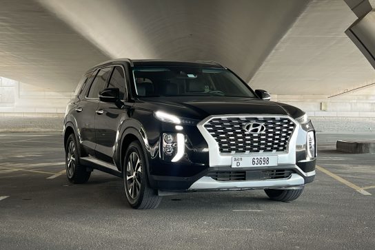 Hyundai Palisade #15