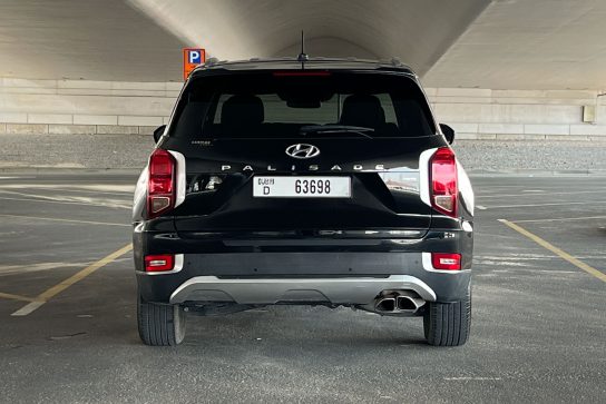 Hyundai Palisade #17