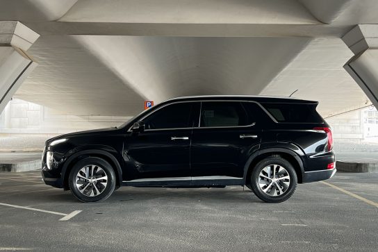 Hyundai Palisade #19