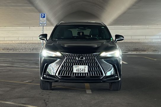Lexus NX 250 #3