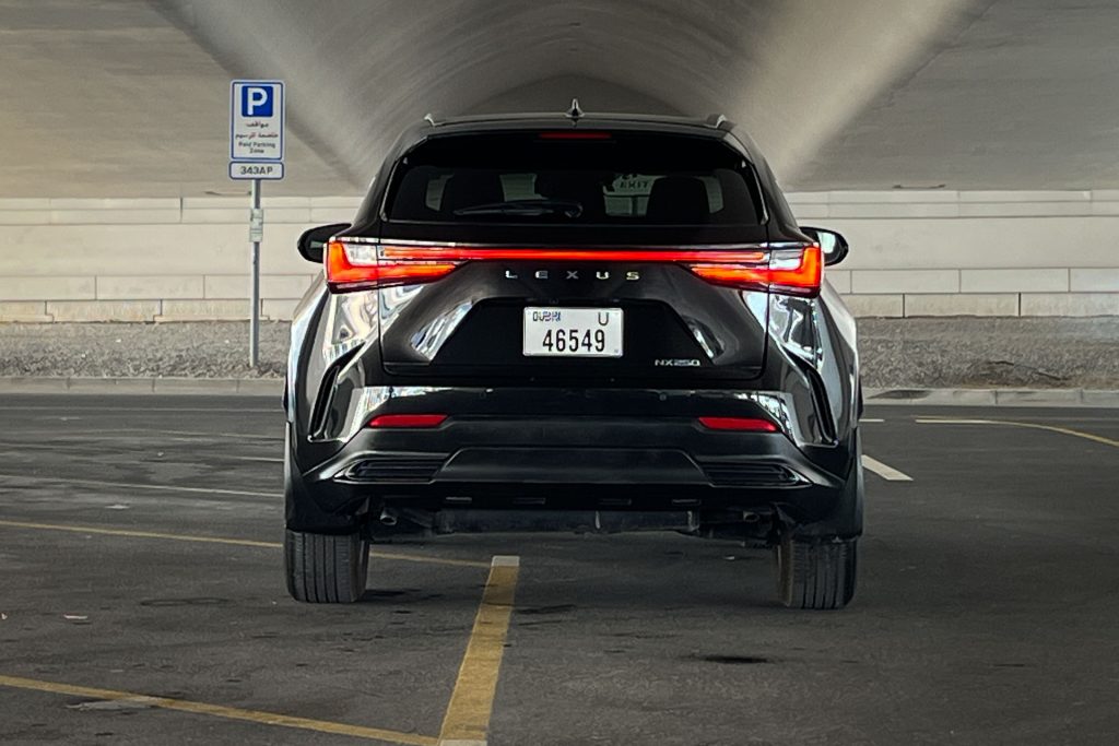 Lexus NX 250 #6