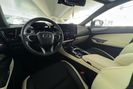 Lexus NX 250 #10