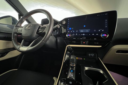 Lexus NX 250 #11