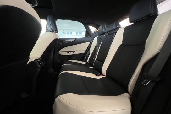 Lexus NX 250 #15