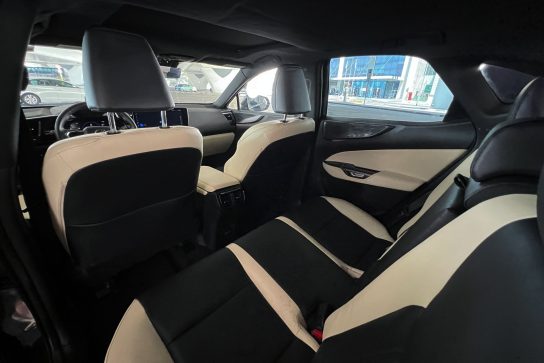 Lexus NX 250 #16